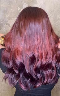 Image result for Reddish Purple Hair Color