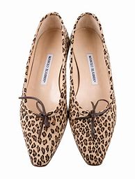 Image result for Cheetah Flats