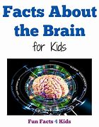 Image result for Facts About Your Brain