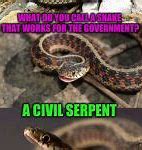 Image result for Funny Snake Memes