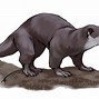 Image result for Cute Otter PNG