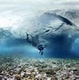 Image result for Underwater 360 Camera