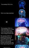 Image result for My Brain Your Brain Meme