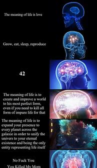 Image result for Brain Anatomy Meme