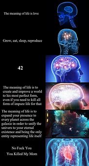 Image result for Expand Brain Meme