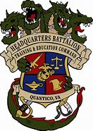 Image result for Battalion S4 Logo