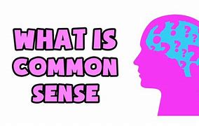 Image result for Common Sense For Dummies
