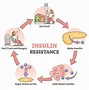 Image result for Lactogen Insulin