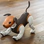 Image result for Brown Aibo