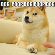 Image result for Clean Up Dog Poop Meme