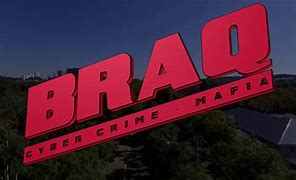 Image result for braq stock