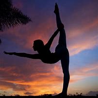 Image result for Sunset Gymnastics Poses