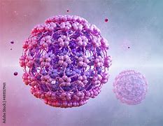 Image result for Genital Human Papillomavirus 16 and 18