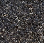 Image result for Compost/Soil