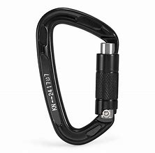 Image result for Auto Locking Carabiner