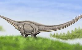 Image result for co_to_za_zizhongosaurus