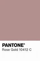 Image result for Rose Gold Pantone Color