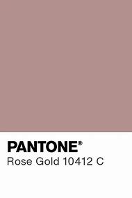 Image result for Rose Gold Pantone