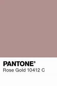 Image result for Rose Gold PMS Color