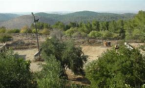 Image result for Yatir Yatir Forest