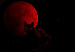 Image result for Galaxy Cat Wallpaper Blue Moon