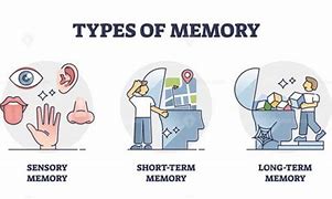 Image result for Memory Cartoon Images