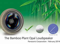 Image result for Bamboo Speaker Diaphragm