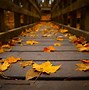 Image result for Autumn Backgrounds Full Screen