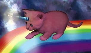 Image result for Unicorn Kitty Fluffy