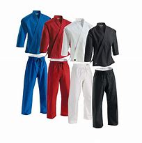 Image result for Martial Arts Uniforms