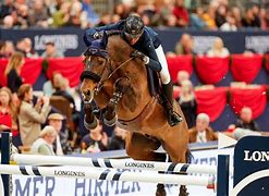 Image result for Fei Jumping