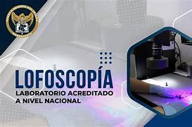 Image result for Lofoscopia