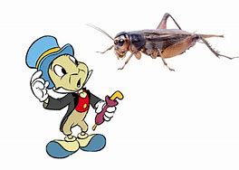 Image result for Jiminy Cricket Insect