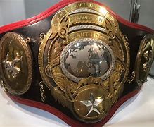 Image result for Wrestling Belt Pins