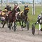 Image result for Types of Horse Racing