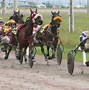 Image result for Carttoon Pic of Horse Racing