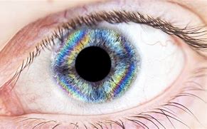 Image result for Eye Ball Rainbow