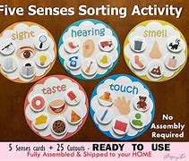 Image result for 5 Senses Sorting Chart