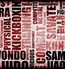 Image result for Diagram of Martial Arts Styles