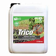 Image result for actinon�trico