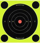 Image result for Outdoor Shooting Targets