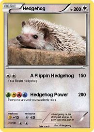 Image result for Hedgehog Pokemon Card