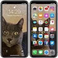 Image result for iPhone X Notch