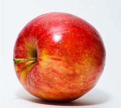 Image result for Apple Fruit Information