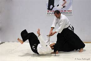 Image result for Aikido Martial Arts