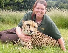 Image result for Zookeeper Mauled by Tiger