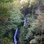 Image result for Waterfalls in Wales Autumn