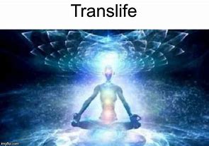 Image result for Transcending Meme