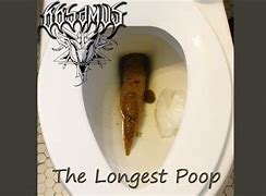 Image result for Poopiest Poop Ever Pooped