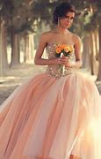 Image result for Where Is All Princess Dress